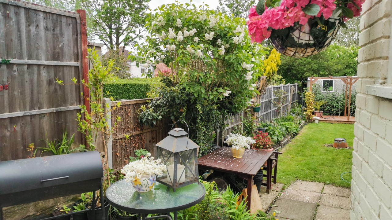 Uređeno dvorište sa zonom za sedenje, biljkama i dekoracijom